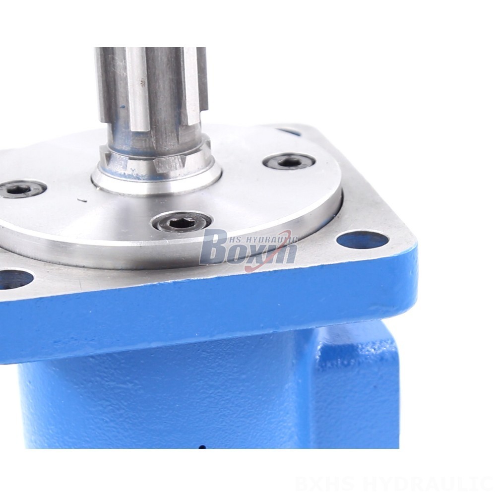 China BM3 Cycloid Hydraulic Motor 100 cc/r 50 Lpm Factory detail image